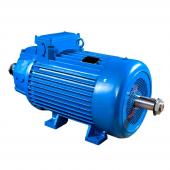 Электродвигатель крановый 4MTM280L8 фото